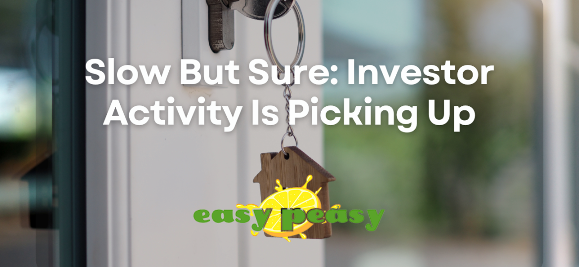 Investors are slowly stepping back in